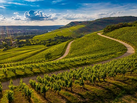 Wine Tour Cortona Toscana | Tour del vino a Cortona in Toscana, Chianti e Montalcino