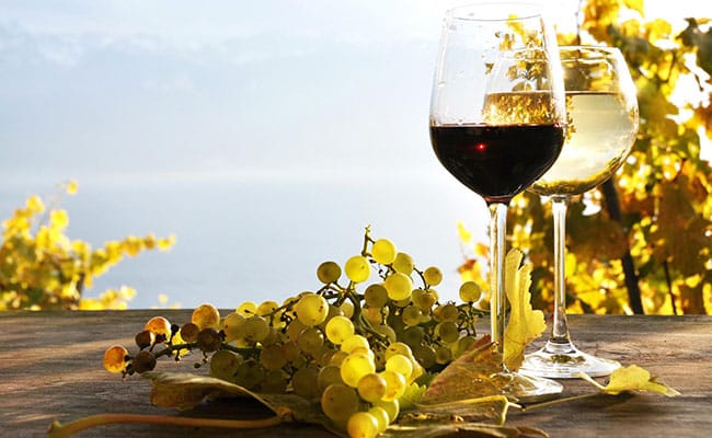 Booking, payment and cancellation policy of wine tours in Cortona, Arezzo, Tuscany