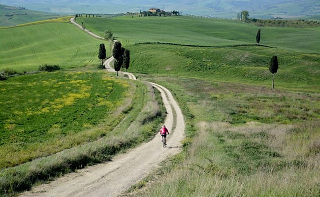 The Gladiator Bike Tour | Bike tour in the Tuscan countryside