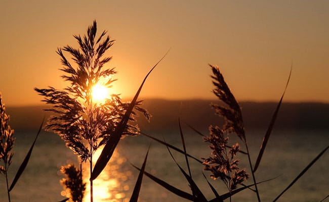 Bike Tour Trasimeno | Tour in bici in Toscana e Umbria al Lago Trasimeno