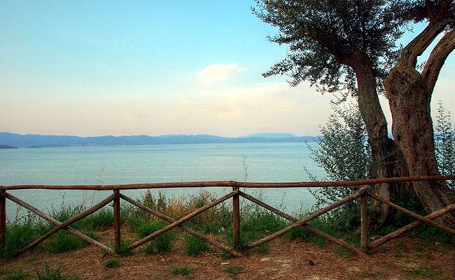 Trasimeno Bike Tour | Bike tour in Tuscany and Umbria at Lake Trasimeno