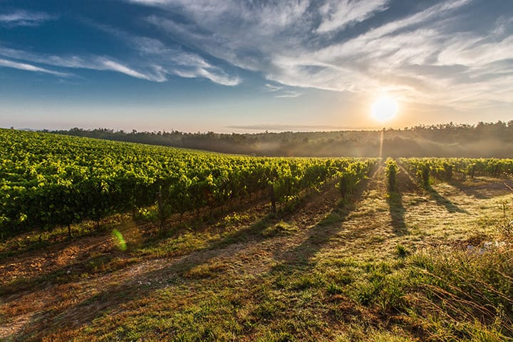 Grand Wine Tour in Tuscany to Montalcino, Montepulciano, Chianti and Cortona