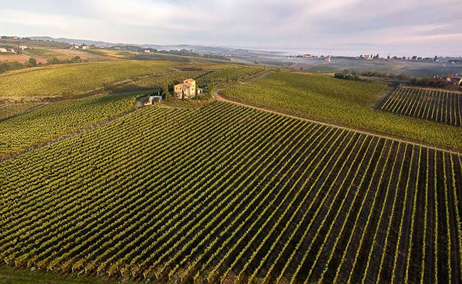 Grand Wine Tour in Tuscany to Montalcino, Montepulciano, Chianti and Cortona