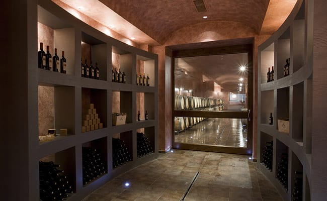 Wine Tour in Bolgheri | Visit to the wineries where fine wine Sassicaia is produced