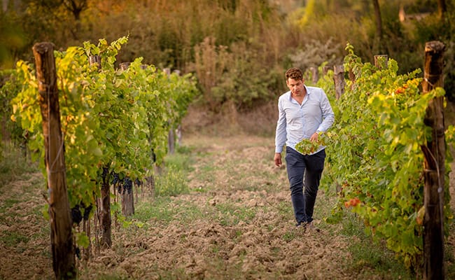 Wine Tour a Cortona | Vista delle cantine del Cortona DOC guidata da esperti sommelier