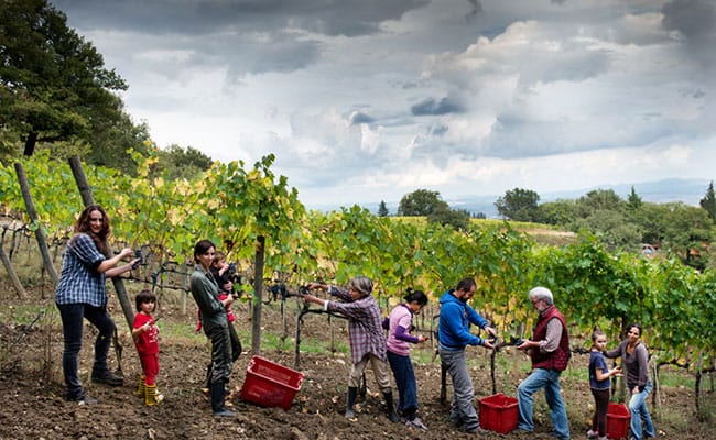 Wine Tour a Montalcino | Visita delle cantine del Brunello di Montalcino guidata da esperti sommelier