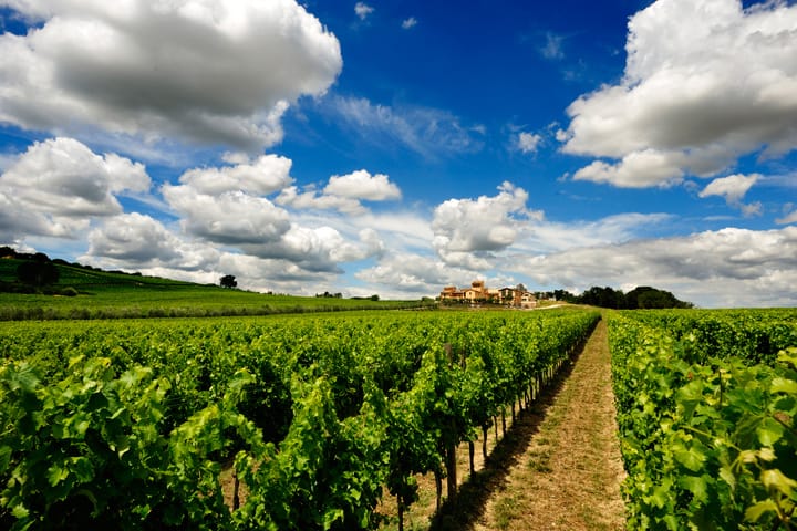 Wine Tour a Montefalco | Vista delle cantine del Sagrantino di Montefalco guidata da esperti sommelier