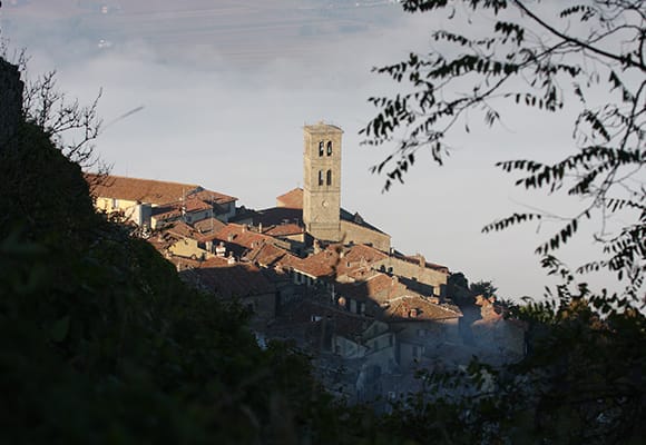 Wine Vacation in Cortona Tuscany | Relaxing holidays and visits to the best wineries in Cortona