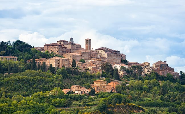 Wine Vacation a Montepulciano Toscana | Vacanze di relax e visite alle migliori cantine del Vino Nobile